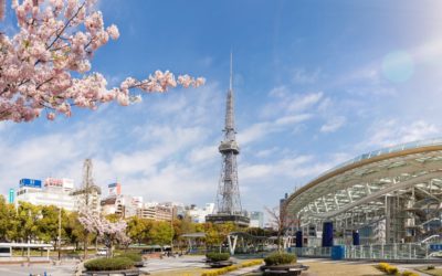 Nagoya Airport VIP concierge services