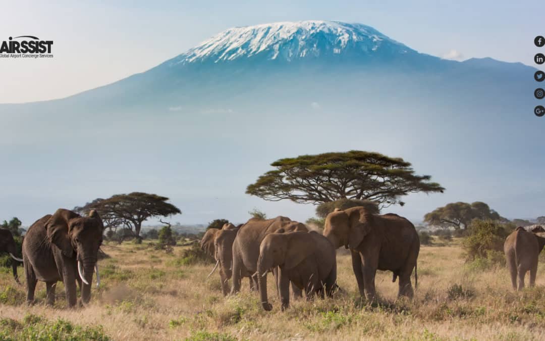 Mt Kilimanjaro