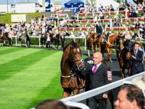 Royal ascot races