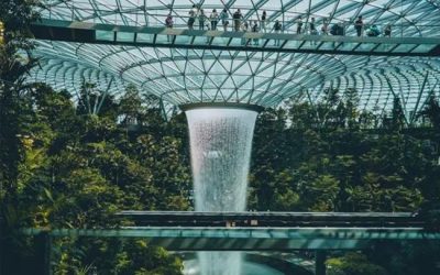 All You Need To Know About Singapore Airport (Changi)