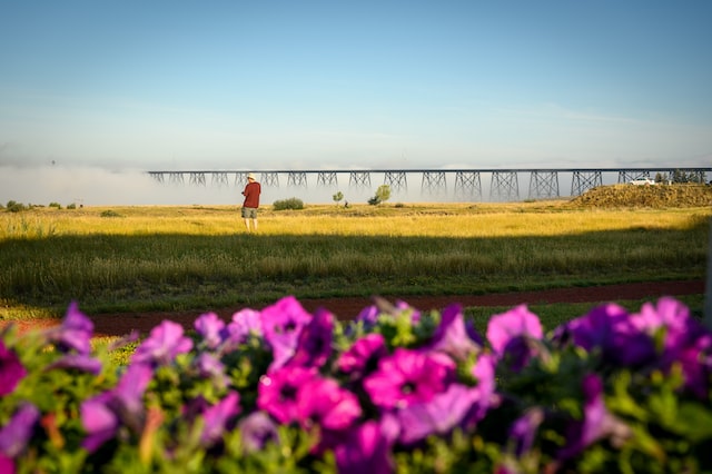 Lethbridge, Canada