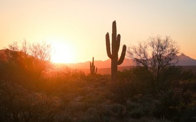 Business Trip to Phoenix, Arizona, USA