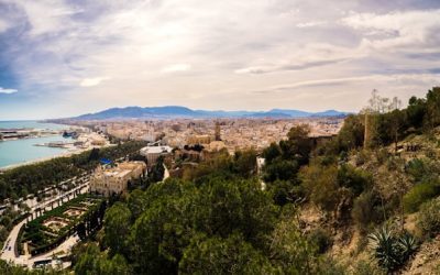 8 Exciting and Popular Things to do in Málaga