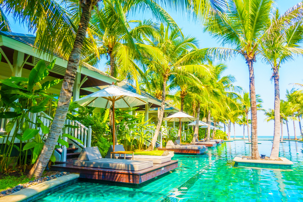 Things to do in Punta Cana tree