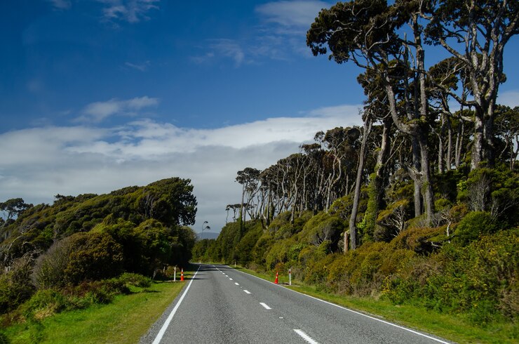 Budgeting for a Trip to New Zealand