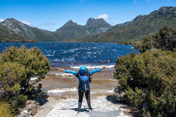 New Zealand Travel Guide