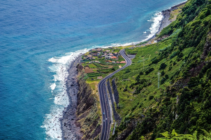 Transportation Options in New Zealand